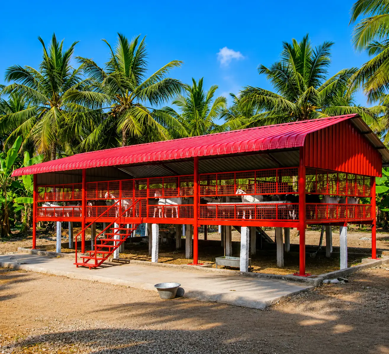 Cow & Goat Farm Shed