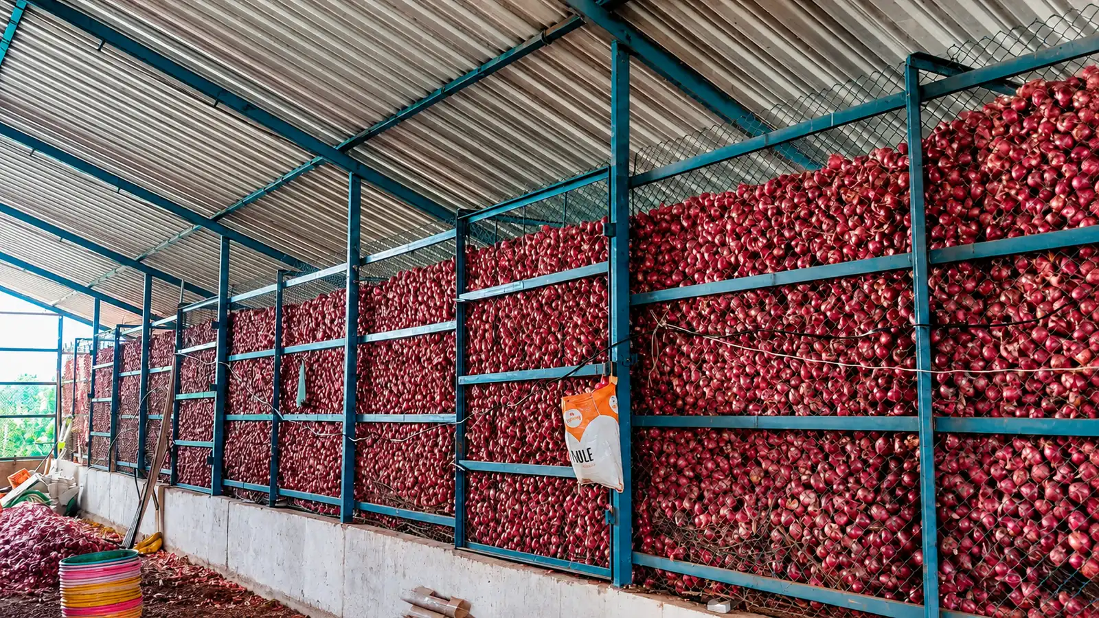 Onion Storage Shed