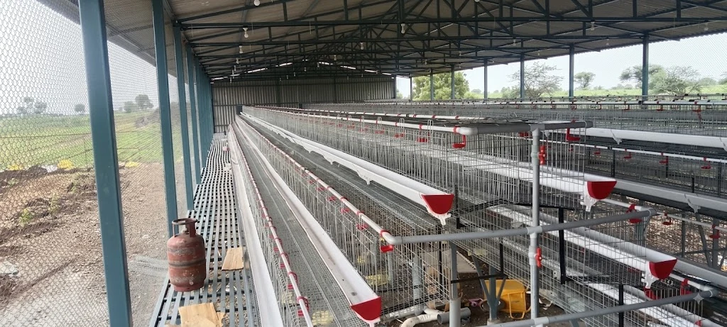 On-Site Structural Erection & Field Work — Maharashtra